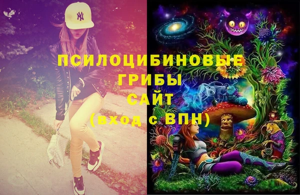 ECSTASY Алексеевка