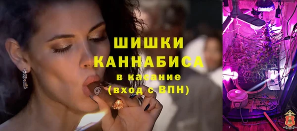 PSILOCYBIN Кодинск