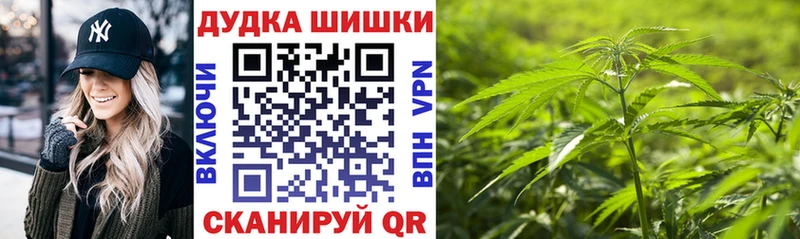 где можно купить наркотик  Санкт-Петербург  Бошки марихуана сатива 